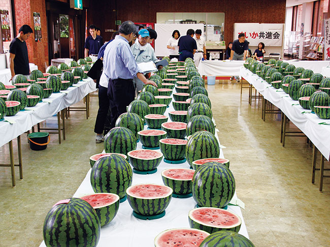 イベント年間予定表 富里市観光協会 人と緑が調和し未来を拓く臨空都市